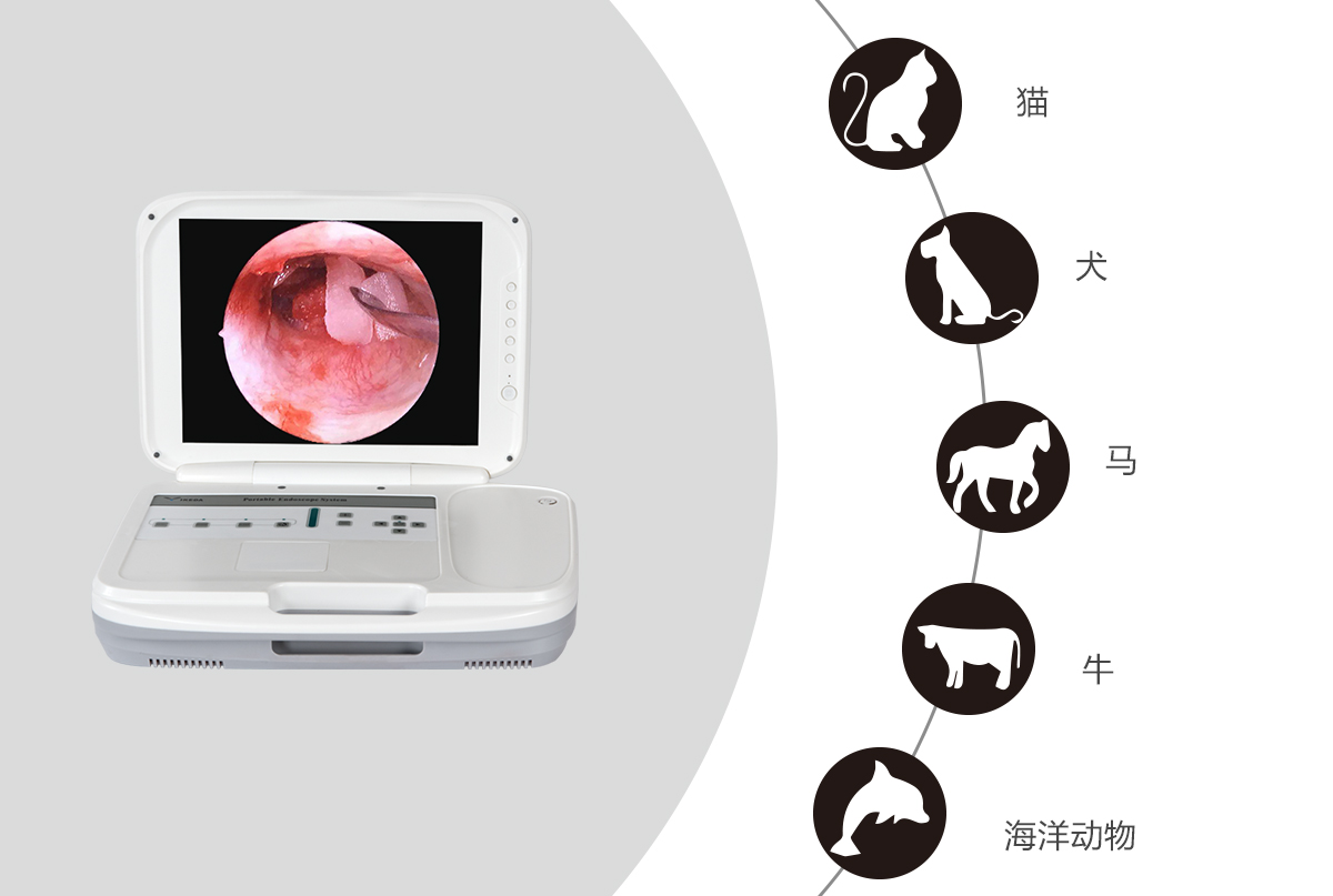 內(nèi)窺鏡攝像機(jī)的應(yīng)用領(lǐng)域有哪些？