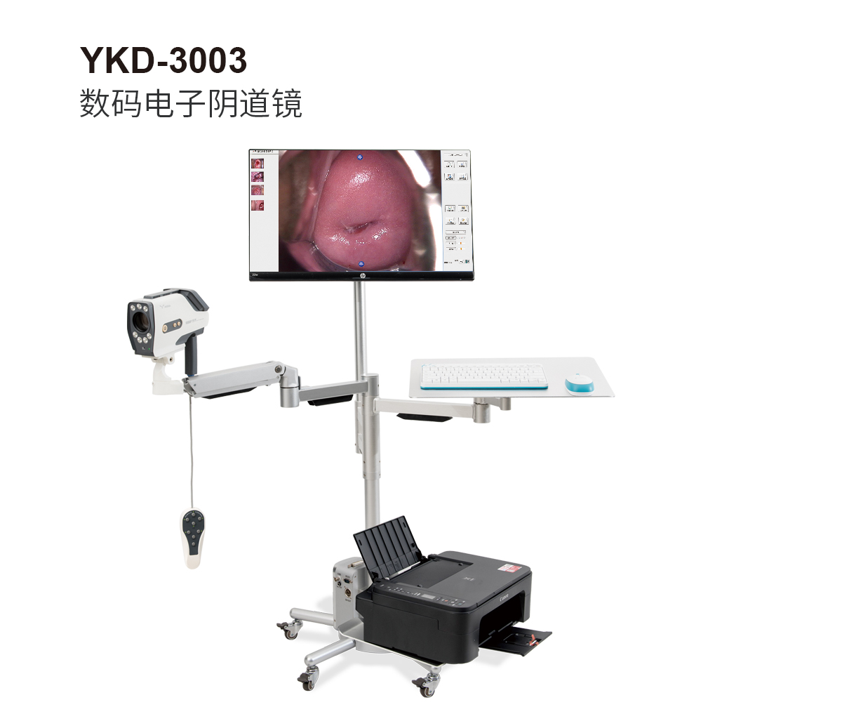 YKD-3003 數(shù)碼電子陰道鏡